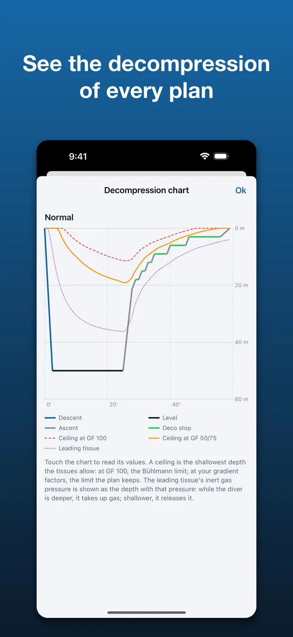 Diveplanner Tec & Rec: See the full decompression profile